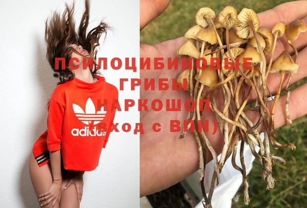 спиды Остров