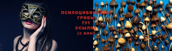 прущий лед Осташков