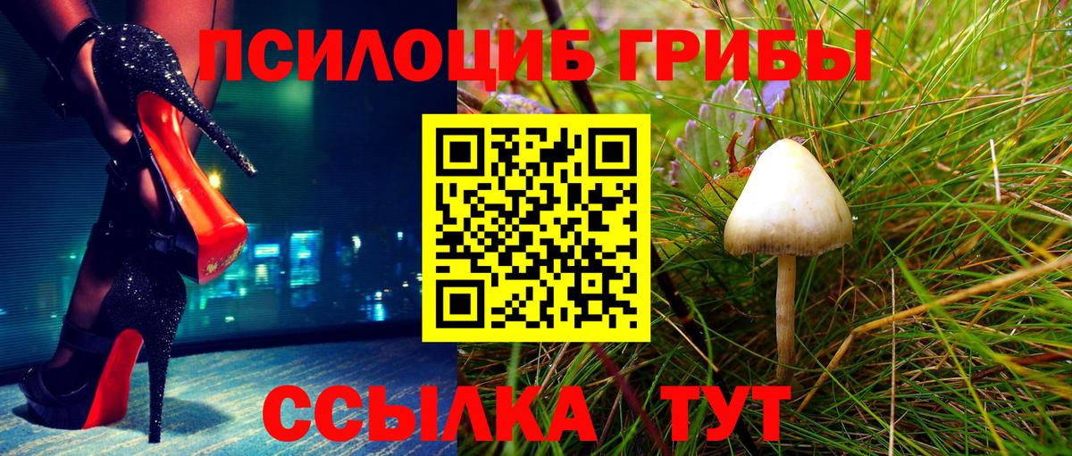 Псилоцибиновые грибы GOLDEN TEACHER Старая Русса