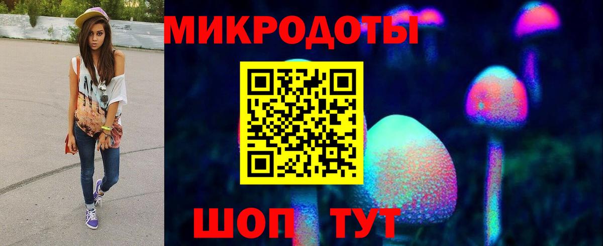 Галлюциногенные грибы мухоморы  Старая Русса 