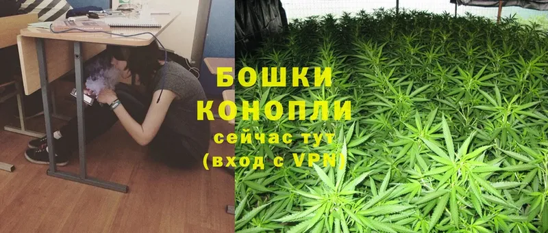 Бошки марихуана THC 21%  kraken рабочий сайт  Старая Русса  купить наркотики сайты 